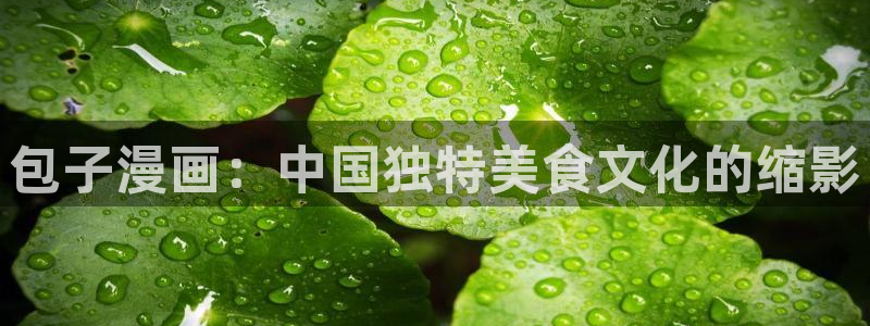 进击的巨人风车漫画：包子漫画：中国独特美食文化的缩影