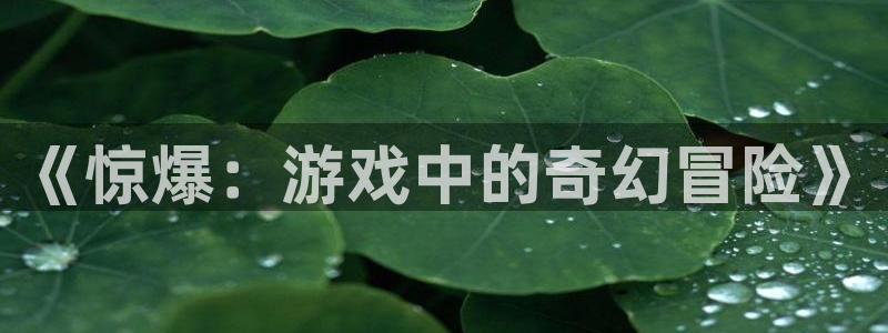 风车漫画免广告：《惊爆：游戏中的奇幻冒险》