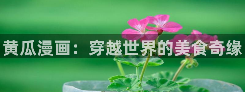 风车漫画最新版：黄瓜漫画：穿越世界的美食奇缘