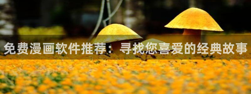 风车漫画免费：免费漫画软件推荐：寻找您喜爱的经典故事